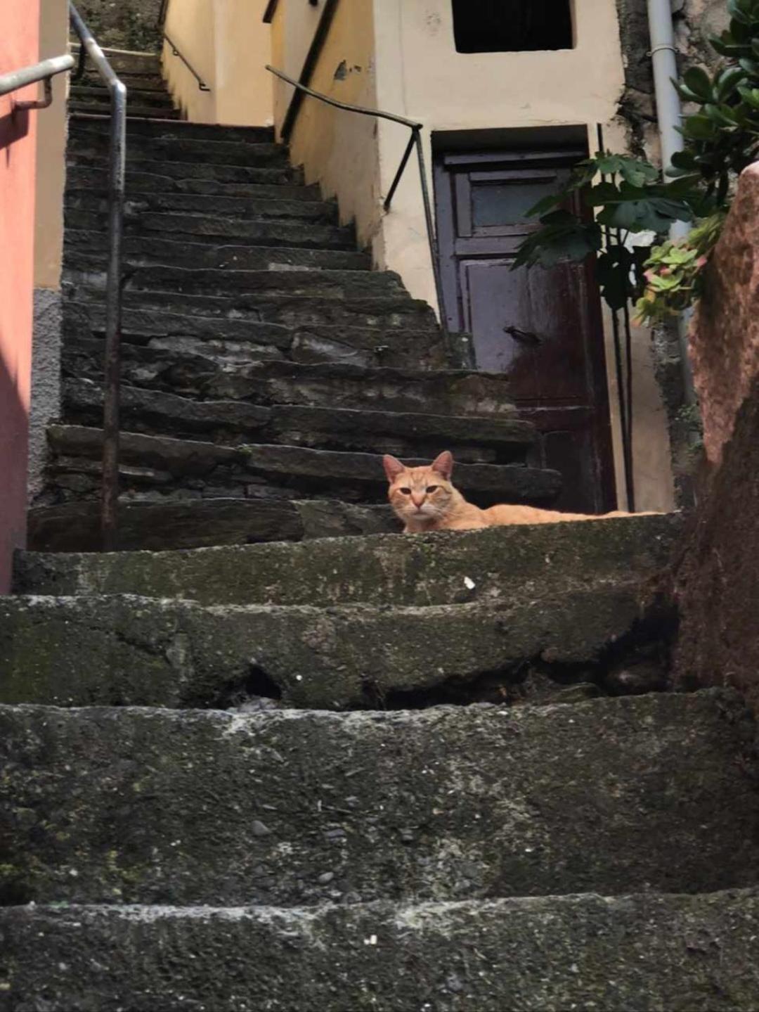 Olimpo Affittacamere Μαναρόλα Δωμάτιο φωτογραφία